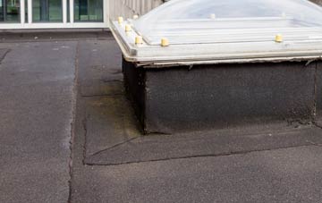 disadvantages of Trelew flat roofs